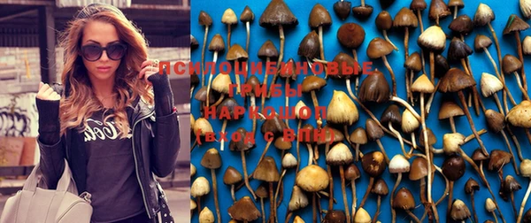 ГАЛЛЮЦИНОГЕННЫЕ ГРИБЫ Лиски