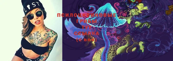 ГАЛЛЮЦИНОГЕННЫЕ ГРИБЫ Лиски