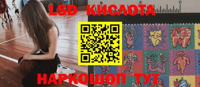 стафф Будённовск