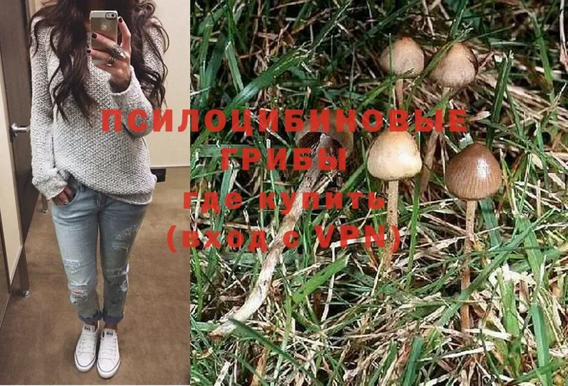 Псилоцибиновые грибы Magic Shrooms Камышин