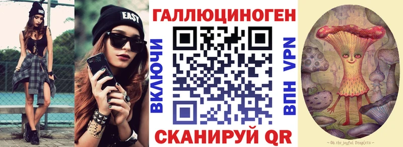 Псилоцибиновые грибы GOLDEN TEACHER  KRAKEN ССЫЛКА  Камышин 