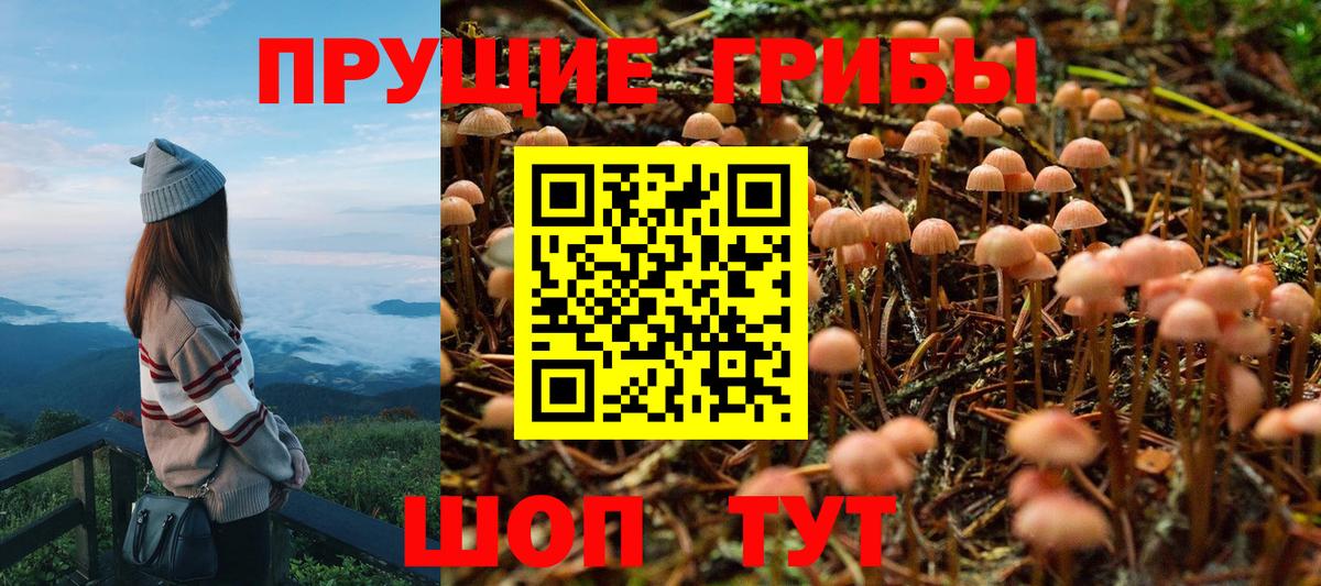 Галлюциногенные грибы Cubensis  Камышин  Галлюциногенные грибы GOLDEN TEACHER 