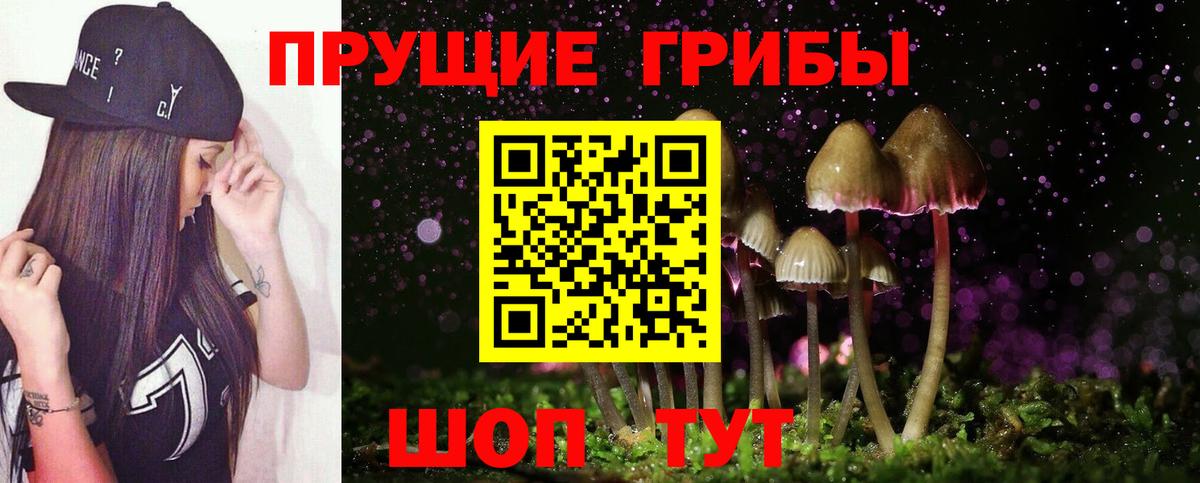 Псилоцибиновые грибы мицелий Камышин